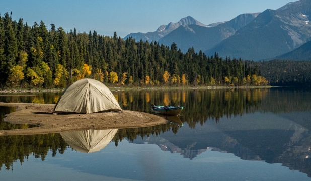 Digital Detox: Why Camping Is a Great Way To Unplug