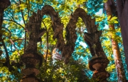 Xilitla in Mexico - A Paradise for Art, Nature, and Quirkiness Lovers!