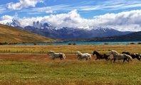 Travelling To Chile? Here's How To Enjoy Your Journey
