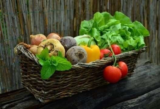 Ogród w domu czy balkonie i własne warzywa: Poradnik