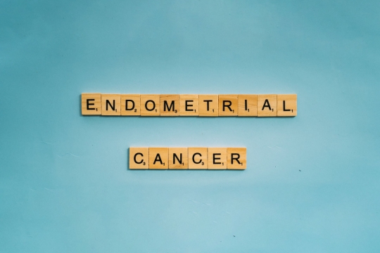 What is the main cause of endometrial cancer?