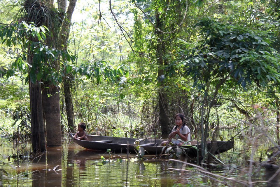 Amazon Jungle Tour in Brazil