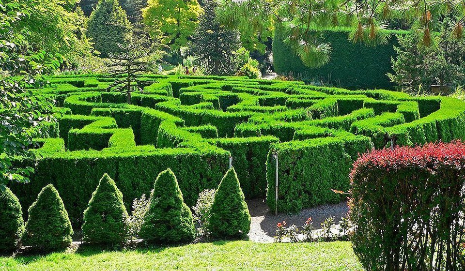 VanDusen Botanical Garden Maze in Vancouver