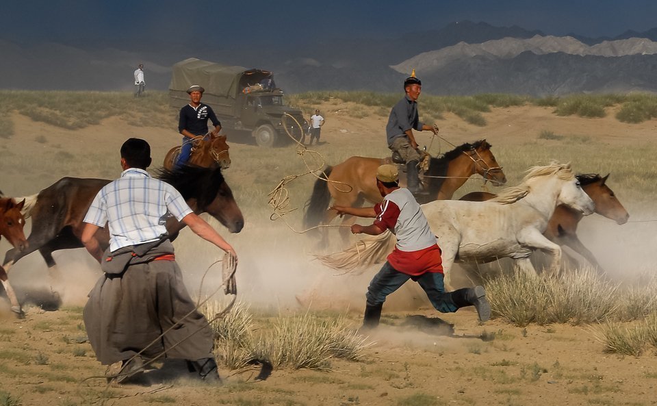 Nadaam Horse Riding in Mongolia