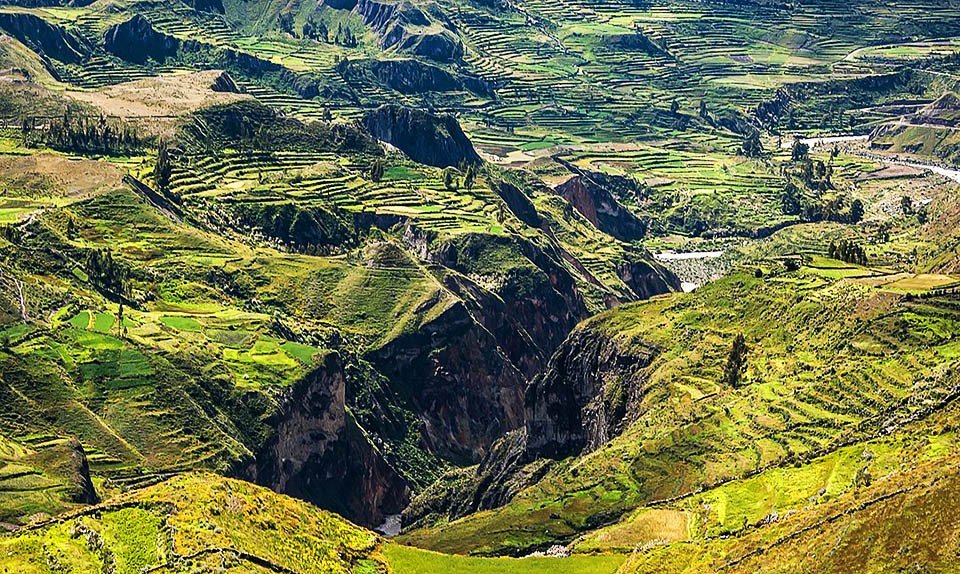 Inca Terraces in Colca Canyon